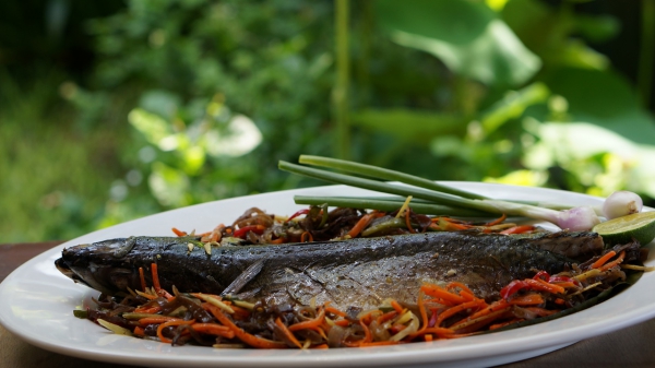 Dining_65