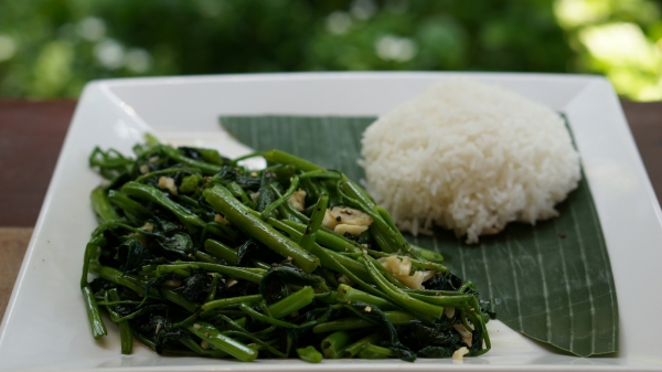 Dining_67