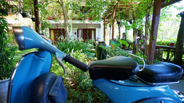 Exterior View_8